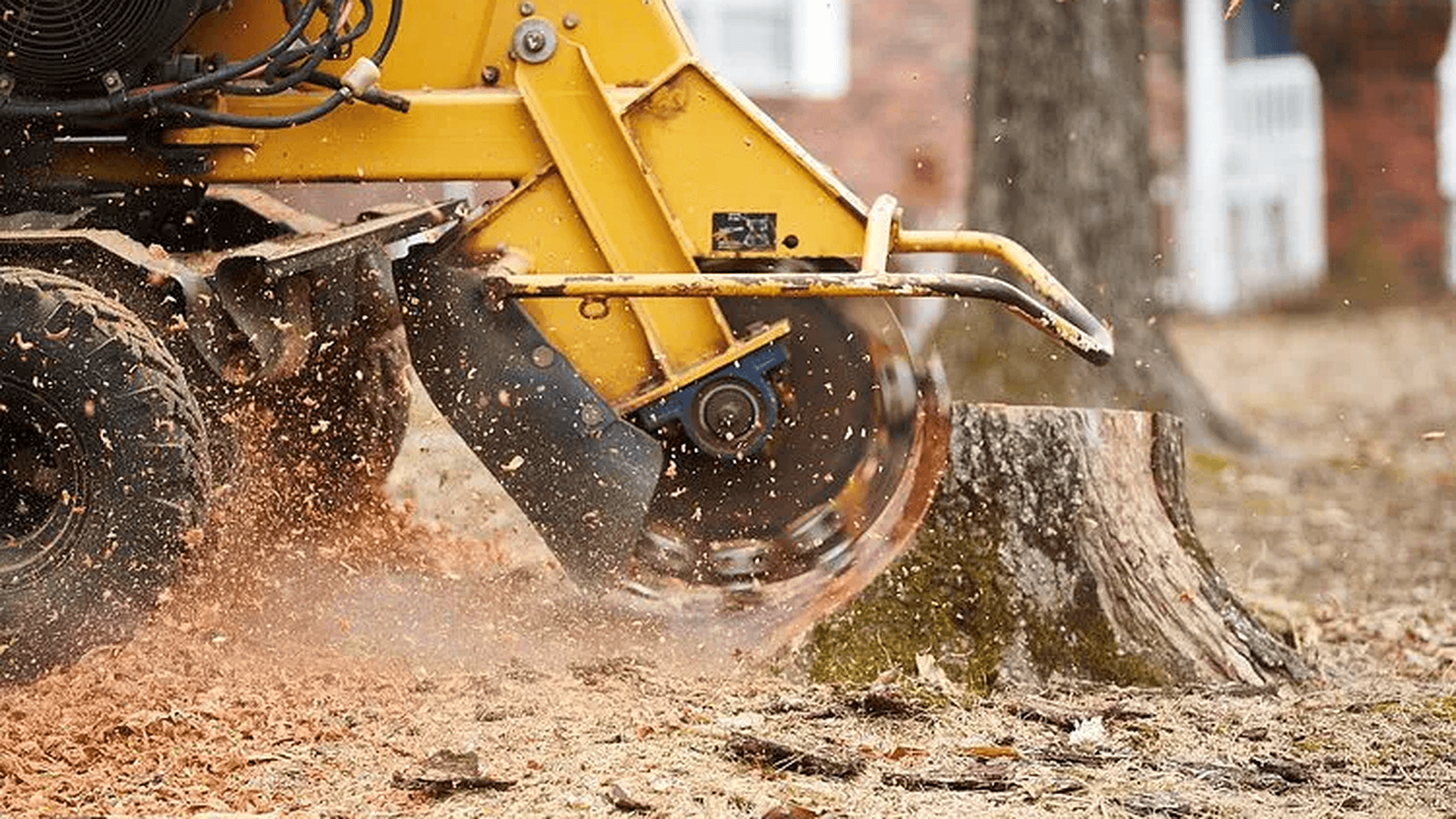 Stump Grinding in Douglasville, GA by ALBY Tree Service LLC